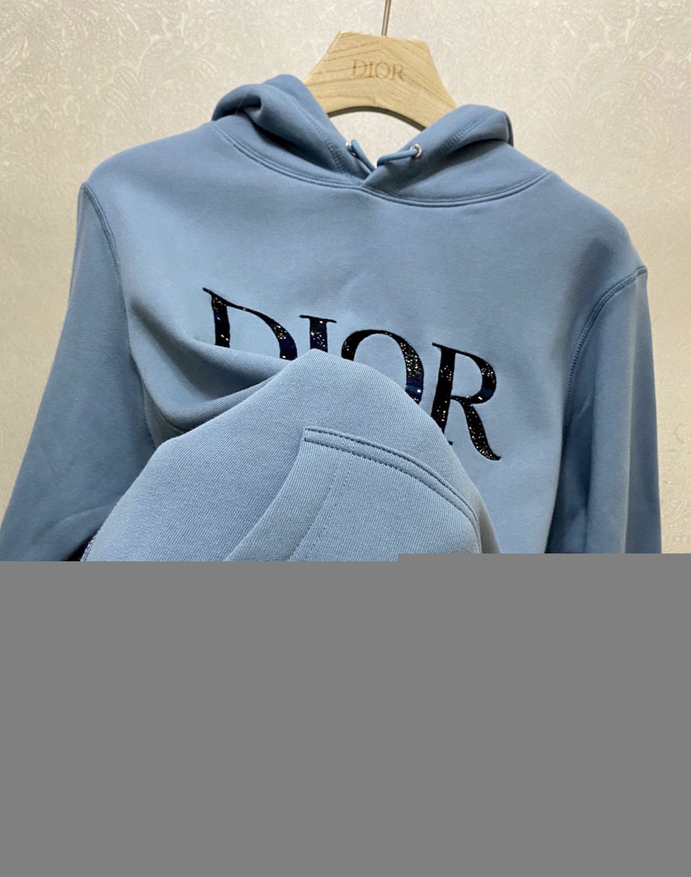 OVERSIZED DIOR AND PETER DOIG HOODIE