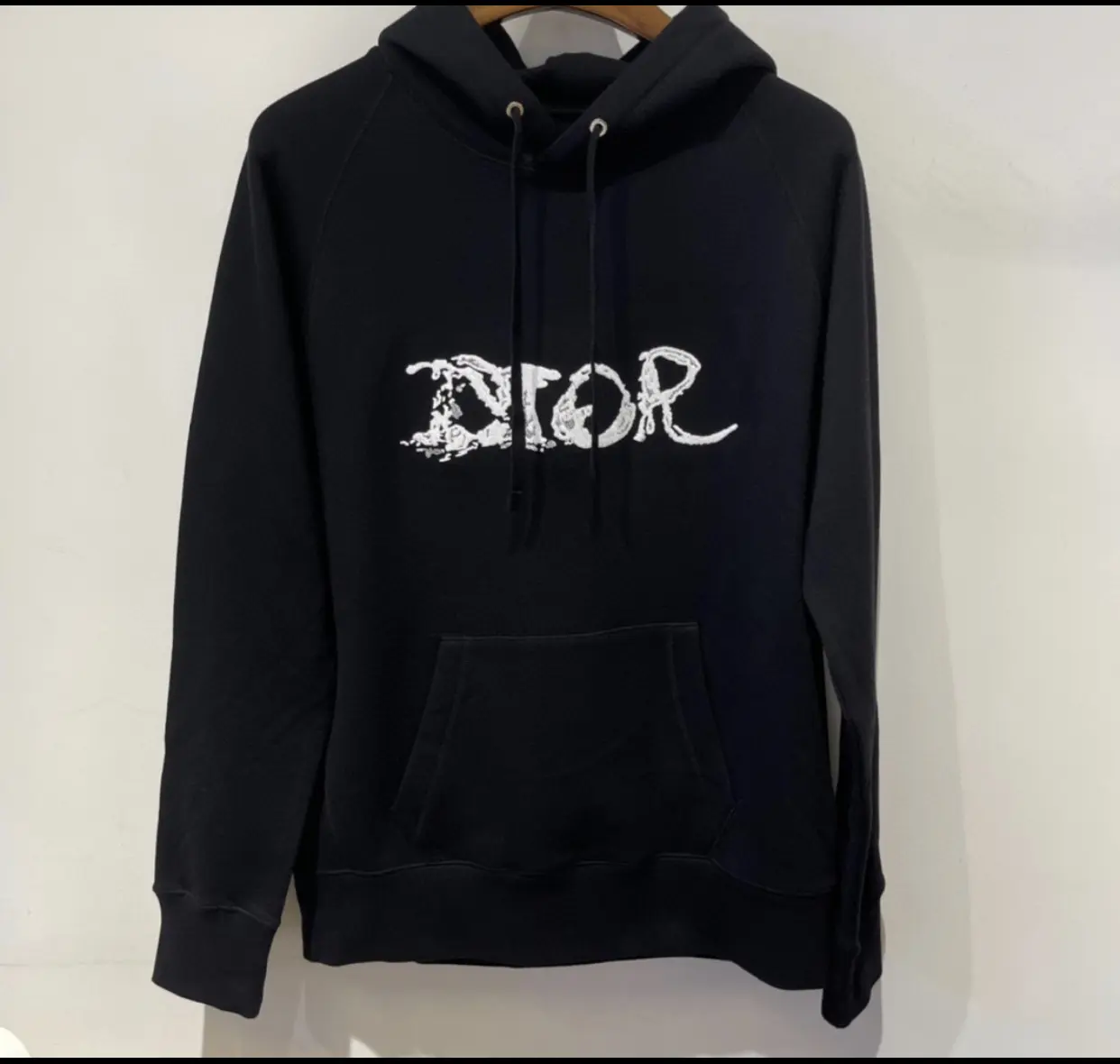 DIOR AND PETER DOIG HOODIE