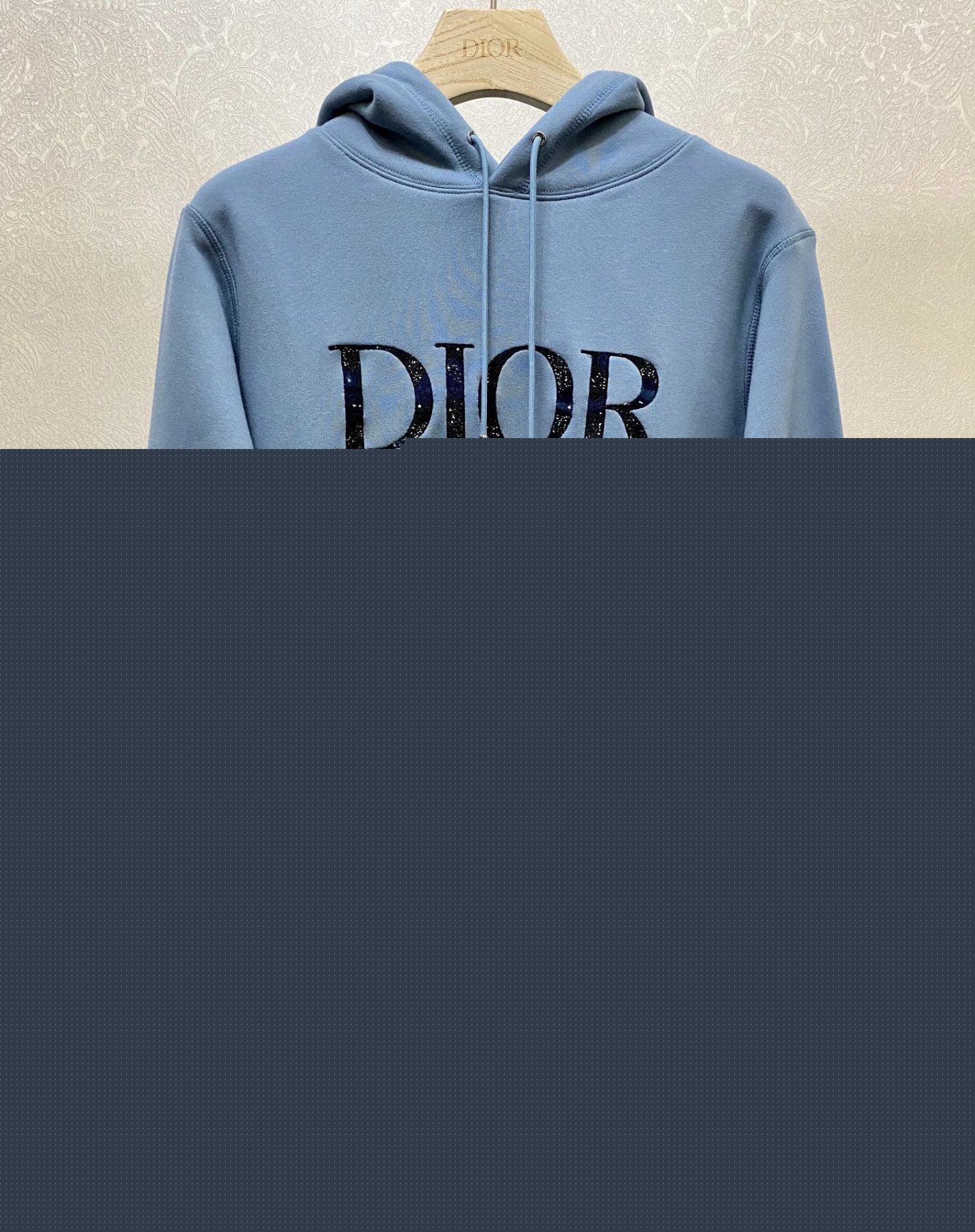 OVERSIZED DIOR AND PETER DOIG HOODIE