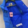 GUCCI X THE NORTH FACE DOWN VEST BLUE